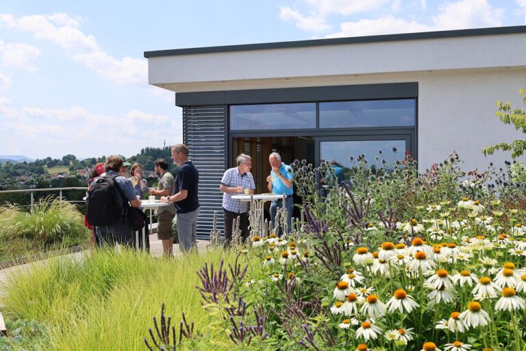 Gebietsheimische Biodiversität auf Gründächern